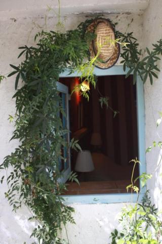Pensión Del Castano Castano de Robledo
